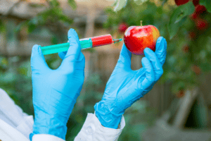 syring injecting pesticides and gmo into an apple